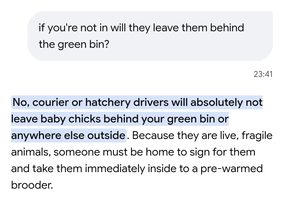 Google AI answer saying couriers will not leave baby chicks behind the bin